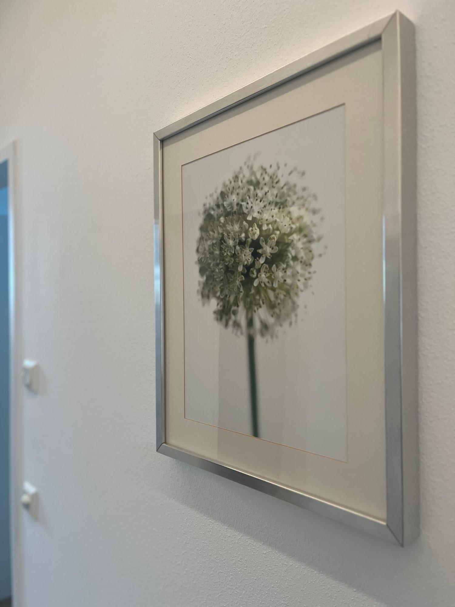 Apartment Jaeger Veronika